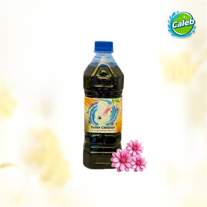 Caleb Toilet Cleaner